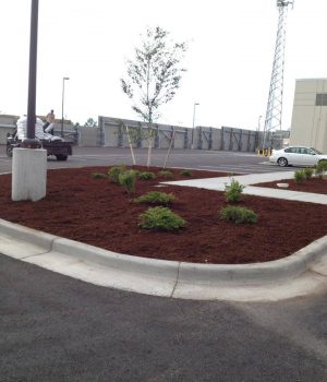 Mulch Install of commercial parking lot